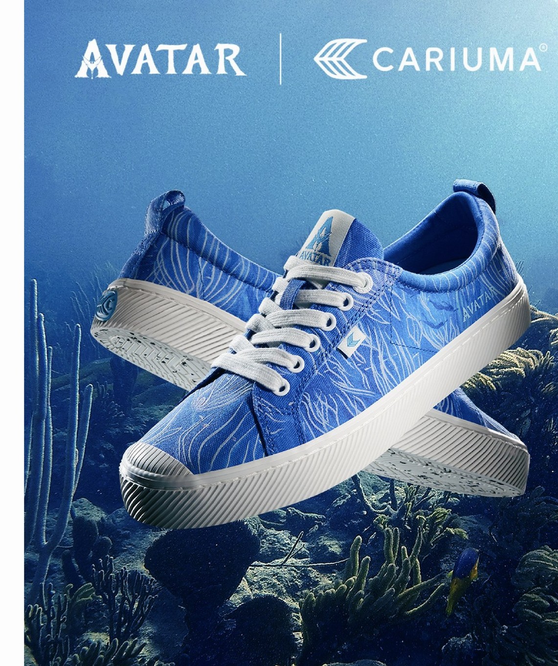 Day state: reef pattern on the low-top.