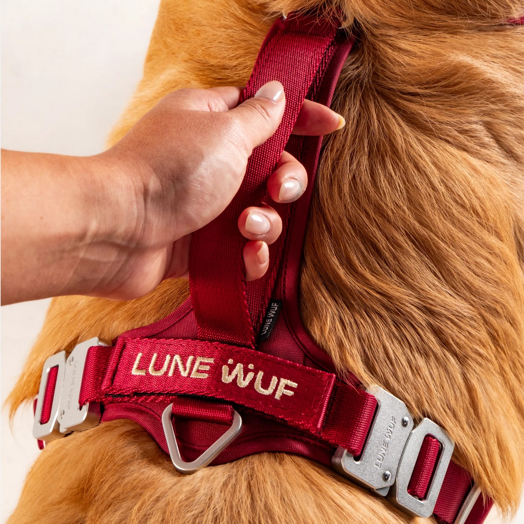 Lune Wuf