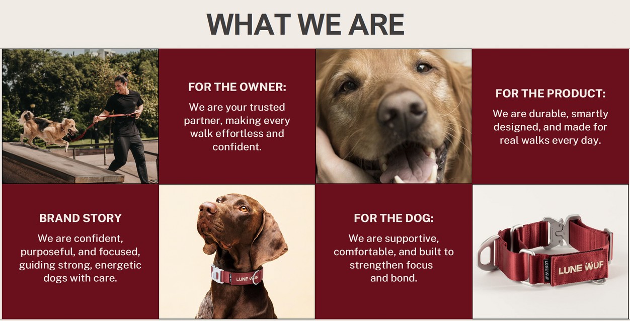 Brand positioning: what we are
