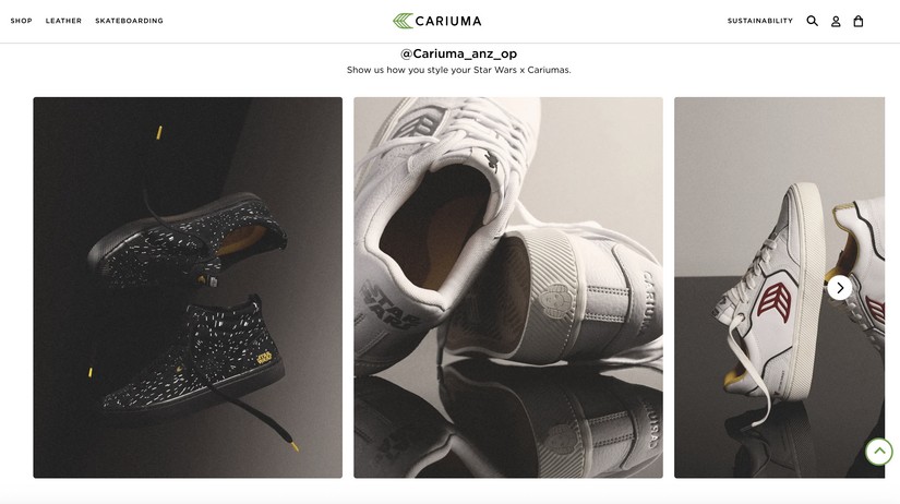 Website: landing page and web banners